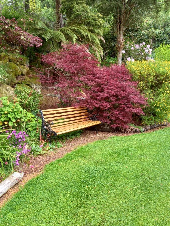 Bed and Breakfast Aramatai Gardens Te Kuiti Esterno foto